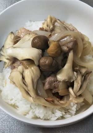 秋の北海道豚丼-レシピのメイン写真