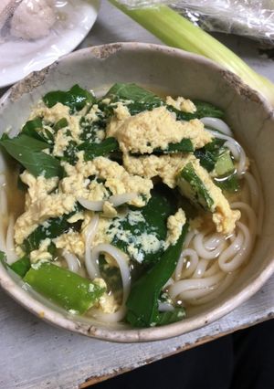 優しいねぎたまうどん-レシピのメイン写真