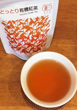 陣構紅茶で生姜と胡椒のホットティー-レシピのメイン写真
