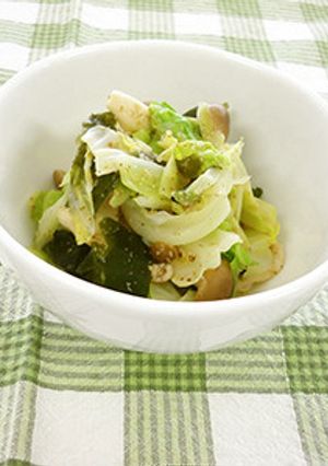 キャベツとわかめのごま酢あえ-レシピのメイン写真