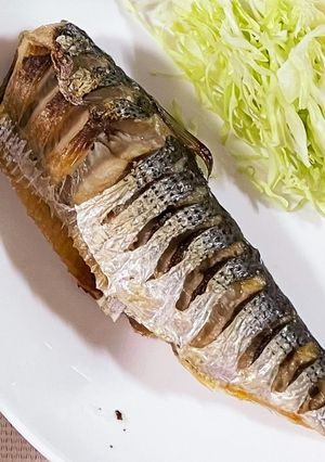 コノシロの塩焼き☆-レシピのメイン写真