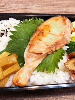 鮭弁当 1021-レシピのメイン写真