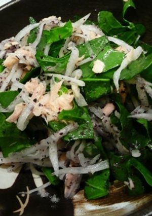 大根&ほうれん草のさっぱりツナサラダ-レシピのメイン写真
