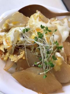 ささっと手軽に!はやと瓜のたまごとじ-レシピのメイン写真