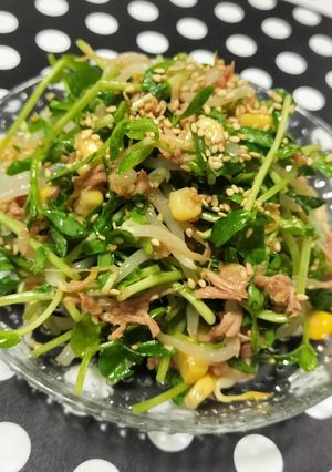 豆苗と☆もやしの♡シャキしゃきツナサラダ-レシピのメイン写真