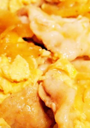 玉ねぎたっぷり他人丼-レシピのメイン写真