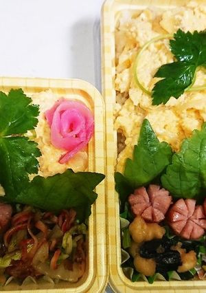 【夫婦弁当149】親子丼と白菜おかか和え-レシピのメイン写真