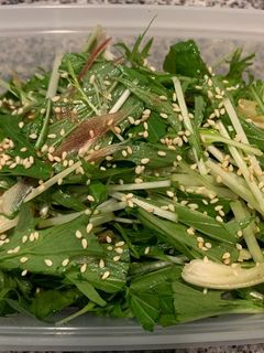 【簡単作り置き】水菜と香味野菜の和え物-レシピのメイン写真