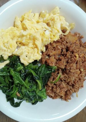 ロコモコ丼風三色丼-レシピのメイン写真