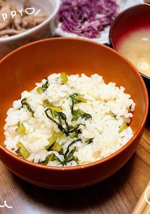 栄養満点★カブ菜としらすの混ぜごはん＊＊-レシピのメイン写真