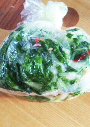 袋漬●京菜(水菜)-レシピのメイン写真