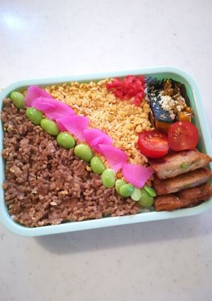 高校生のそぼろ弁当 2021.10.25-レシピのメイン写真
