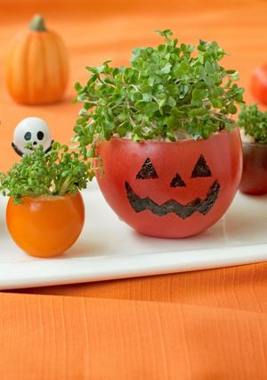 スプラウトとトマトのハロウィンツナサラダ-レシピのメイン写真