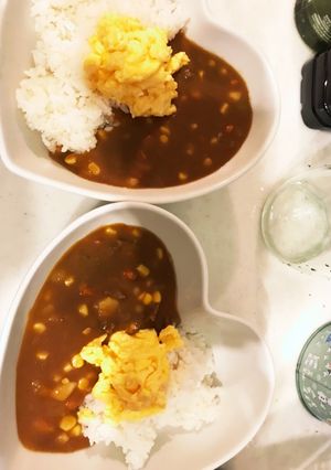 カレーは色々-レシピのメイン写真