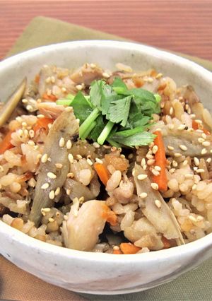 鶏ごぼうの炊き込みご飯-レシピのメイン写真
