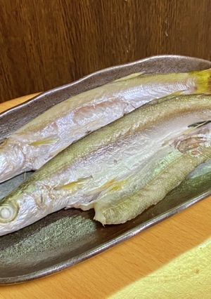 冷蔵庫でカマスの一夜干し-レシピのメイン写真
