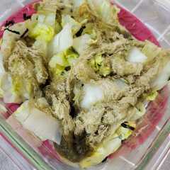รูปของ やみつき！白菜×お茶漬け×とろろ昆布！