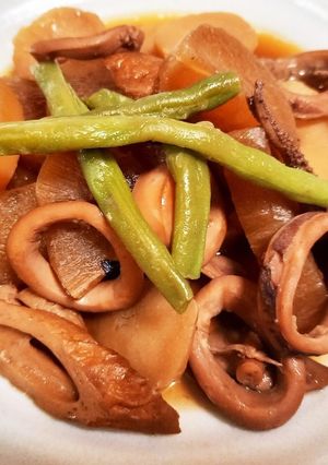 簡単♪︎イカとじゃがいも・大根の煮物♡-レシピのメイン写真