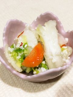 余り野菜の麹漬-レシピのメイン写真