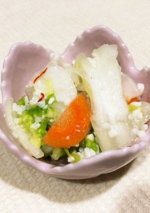 余り野菜の麹漬-レシピのメイン写真