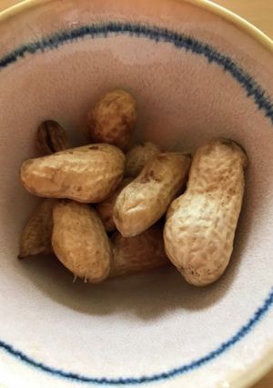 おおまさりの塩茹で-レシピのメイン写真