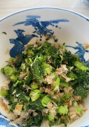 高菜の浅漬け-レシピのメイン写真