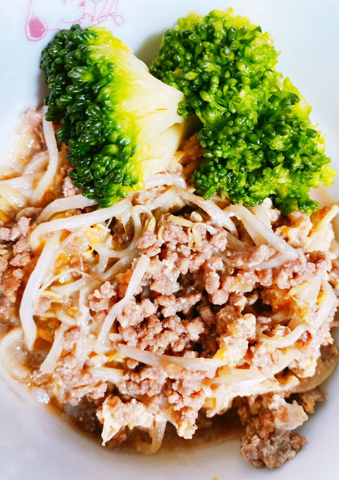もやしと挽肉炒め-レシピのメイン写真
