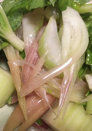 セロリとみょうがのピクルス-レシピのメイン写真