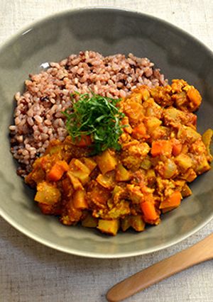根菜と鶏むね肉の和風キーマカレー-レシピのメイン写真