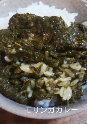 【完成】モリンガカレー！-レシピのメイン写真