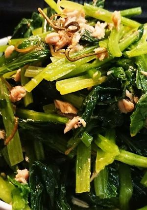 簡単○小松菜のツナ昆布あえ(サラダ)-レシピのメイン写真