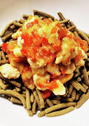 犬ご飯　お魚ミンチのトマトソース-レシピのメイン写真