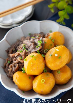 「はりまる」の肉じゃが煮っころがし-レシピのメイン写真