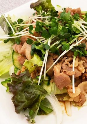 メインになる♡焼肉サラダ-レシピのメイン写真