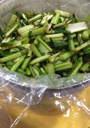 長野名物 野沢菜漬け-レシピのメイン写真