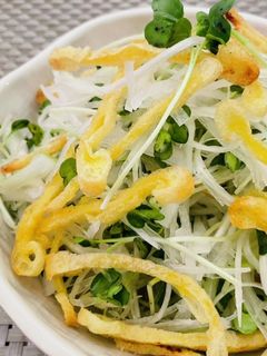 大根と揚げと白髪ネギの和風サラダ-レシピのメイン写真