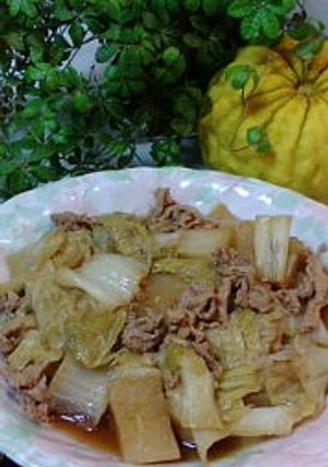ほっこぉ～り♪白菜✿大根✿豚肉煮-レシピのメイン写真