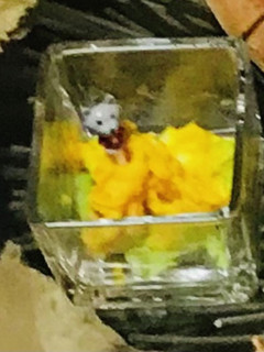 かぼちゃサラダ-レシピのメイン写真