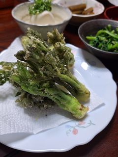 たらの芽の天ぷら-レシピのメイン写真