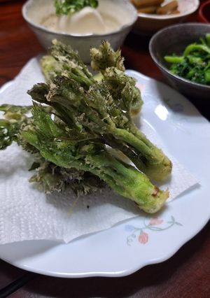 たらの芽の天ぷら-レシピのメイン写真