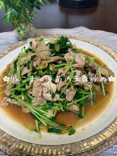 豚こまと豆苗の五香炒め-レシピのメイン写真