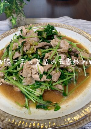 豚こまと豆苗の五香炒め-レシピのメイン写真