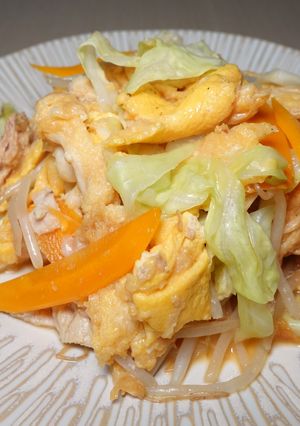 パパッと麩ちゃんぷるー♪♪-レシピのメイン写真