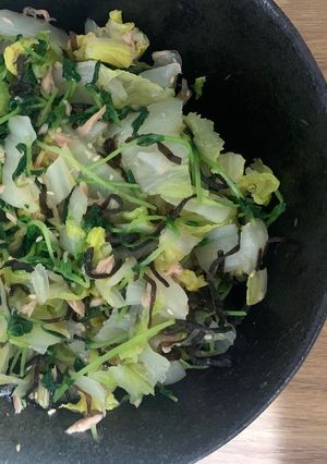 豆苗と白菜の塩昆布ツナ和え-レシピのメイン写真