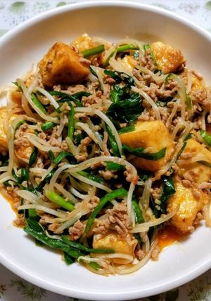 節約簡単今日の夕飯!厚揚韮挽肉もやし炒め-レシピのメイン写真
