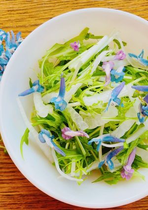 エゾエンゴサクと水菜と新玉ねぎのサラダ-レシピのメイン写真
