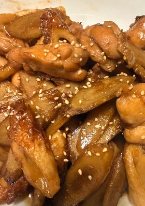 ごぼうと鶏肉と煮物-レシピのメイン写真