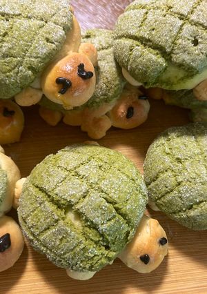 亀のメロンパン🐢かめろんぱん🐢🍞-レシピのメイン写真