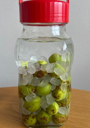 超簡単！手作り梅酒〜♪-レシピのメイン写真