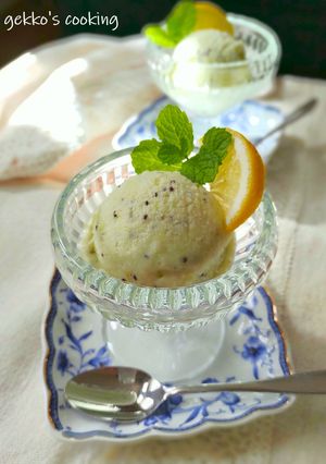 ねっとり＊キウイとヨーグルトのジェラート-レシピのメイン写真